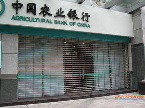 石家莊不銹鋼卷閘門 天順不銹鋼電動卷閘門窗廠,石家莊不銹鋼卷閘門 天順不銹鋼電動卷閘門窗廠生產廠家,石家莊不銹鋼卷閘門 天順不銹鋼電動卷閘門窗廠價格