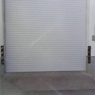 雄縣電動卷簾門公司-智旺門業(yè)(優(yōu)質(zhì)商家)